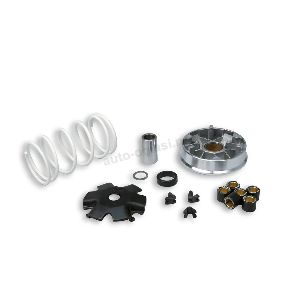 Varijator GY6 50cc 4T Malossi