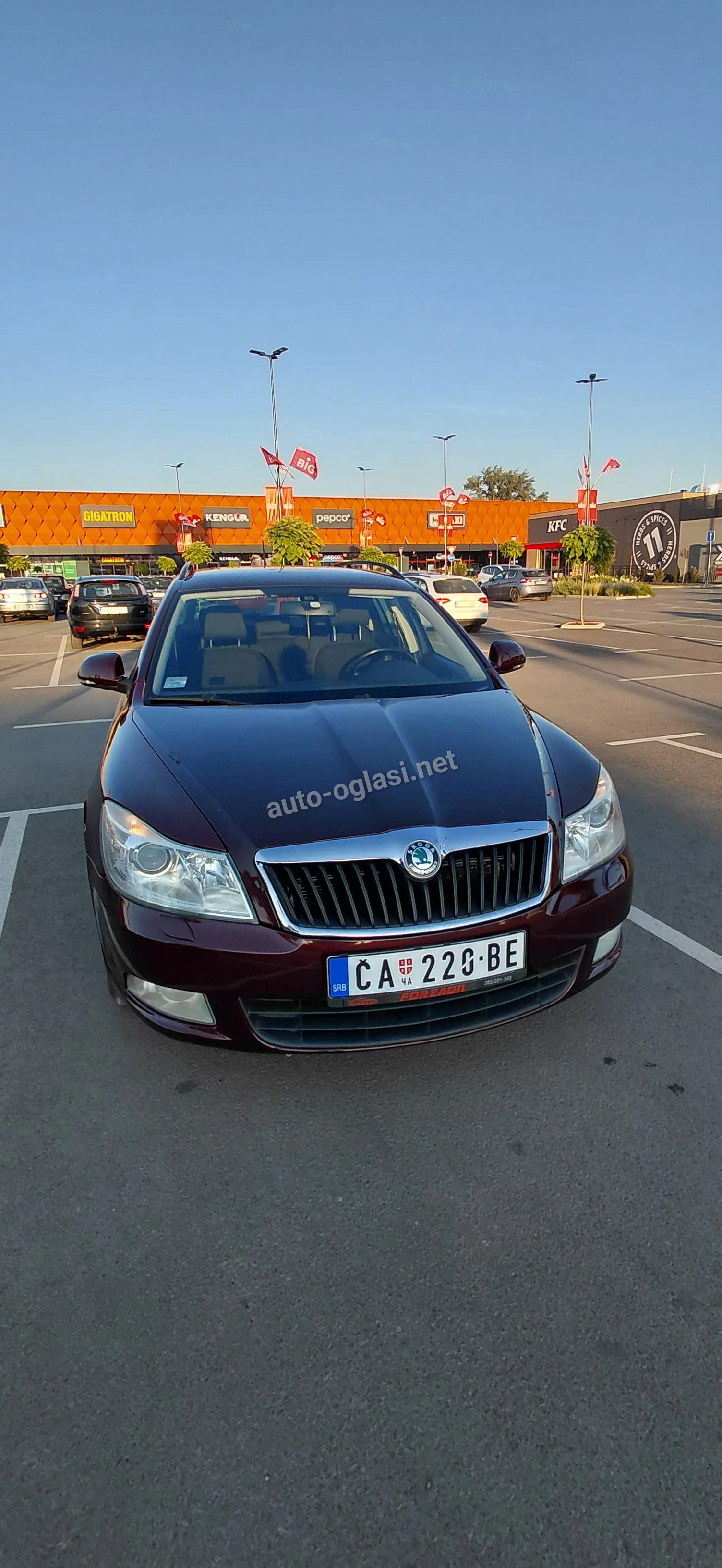 Škoda Octavia Combi 1.6 Dizel 77kW — slika 5